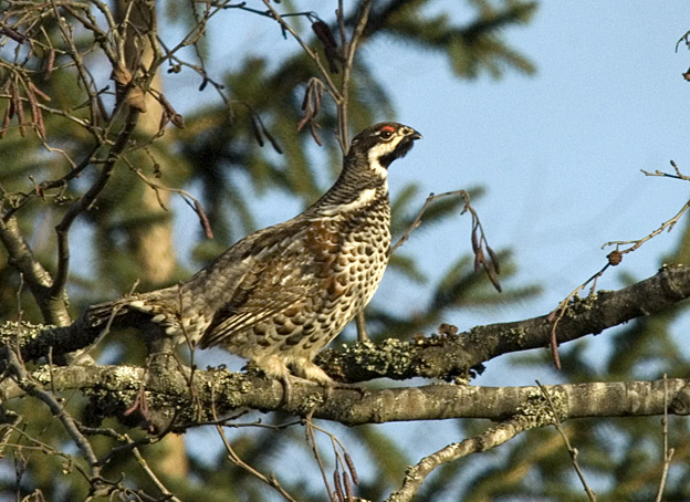 2019-Pyy-5510.jpg